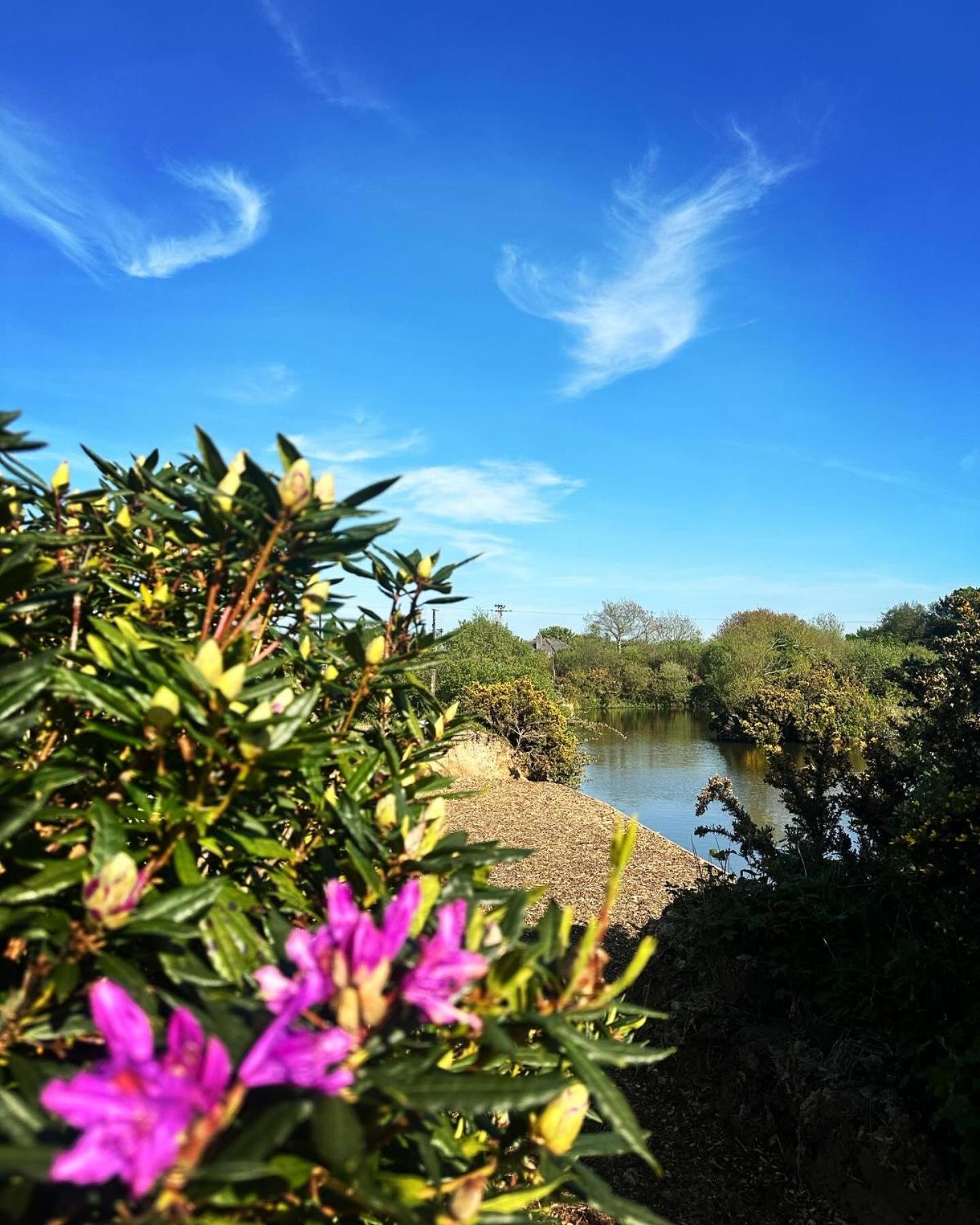 Lakeside Glamping Firecrest St Columb Major Exterior foto