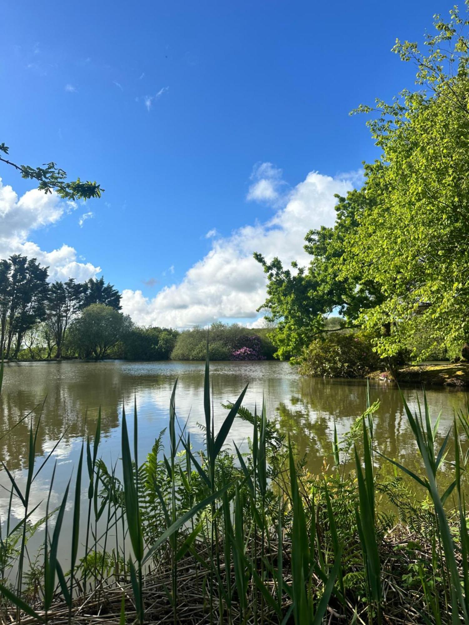 Lakeside Glamping Firecrest St Columb Major Exterior foto