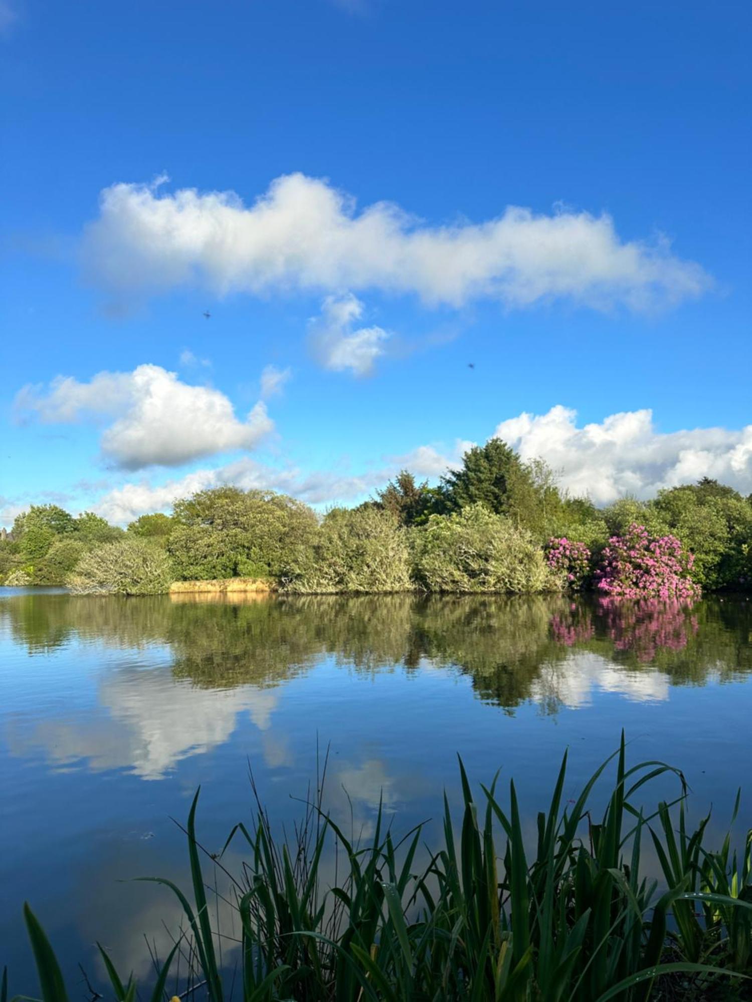 Lakeside Glamping Firecrest St Columb Major Exterior foto