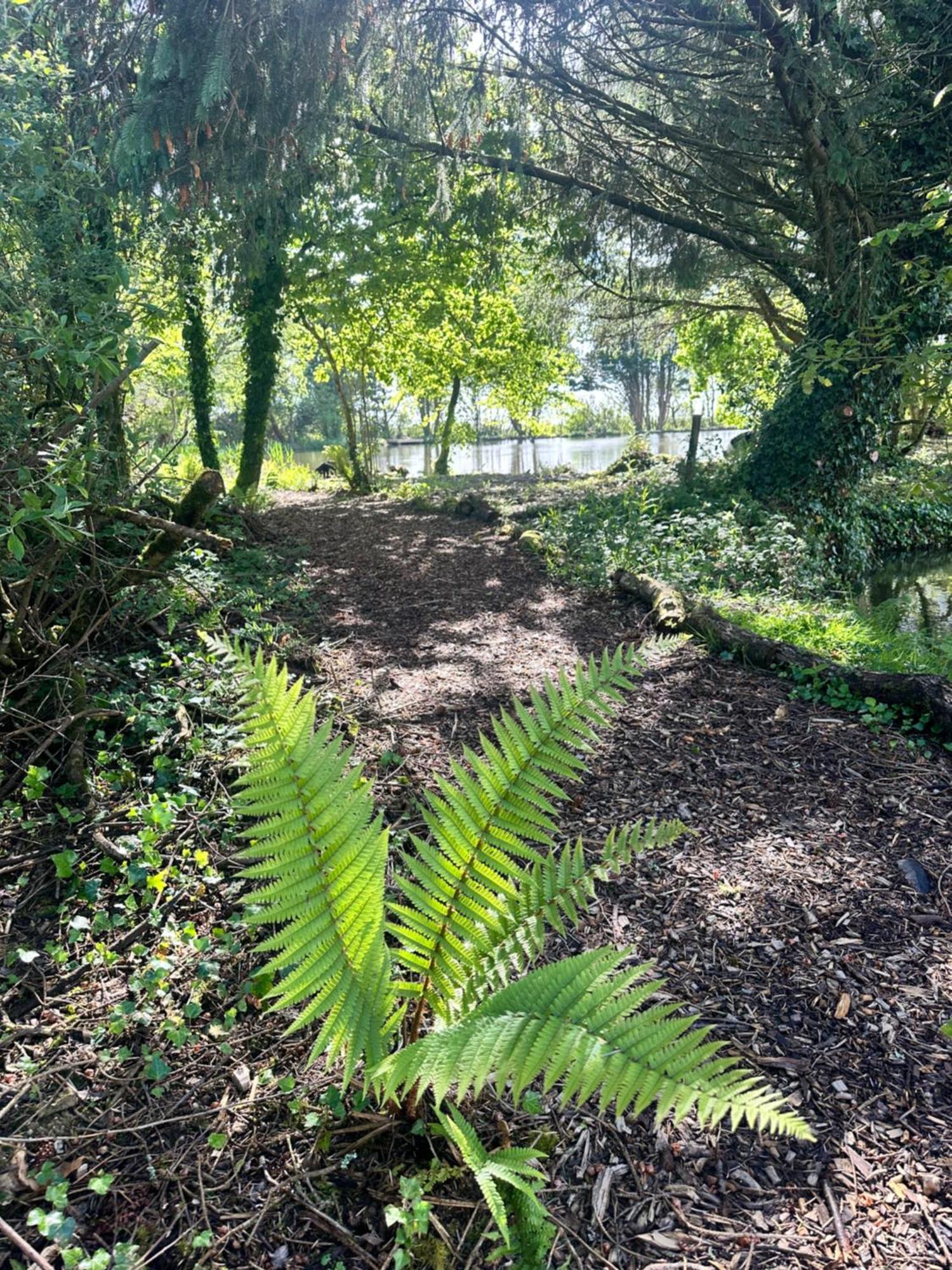 Lakeside Glamping Firecrest St Columb Major Exterior foto